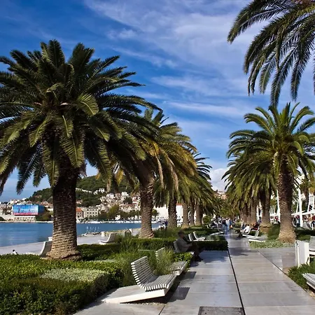 Ana * Split